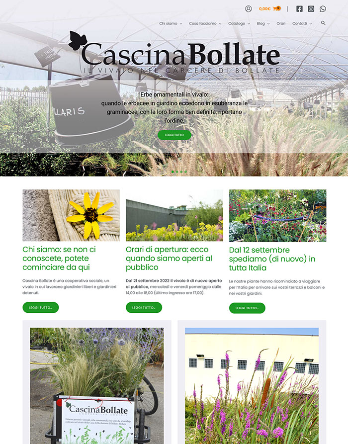 Cascinabollate Jdt Home Page